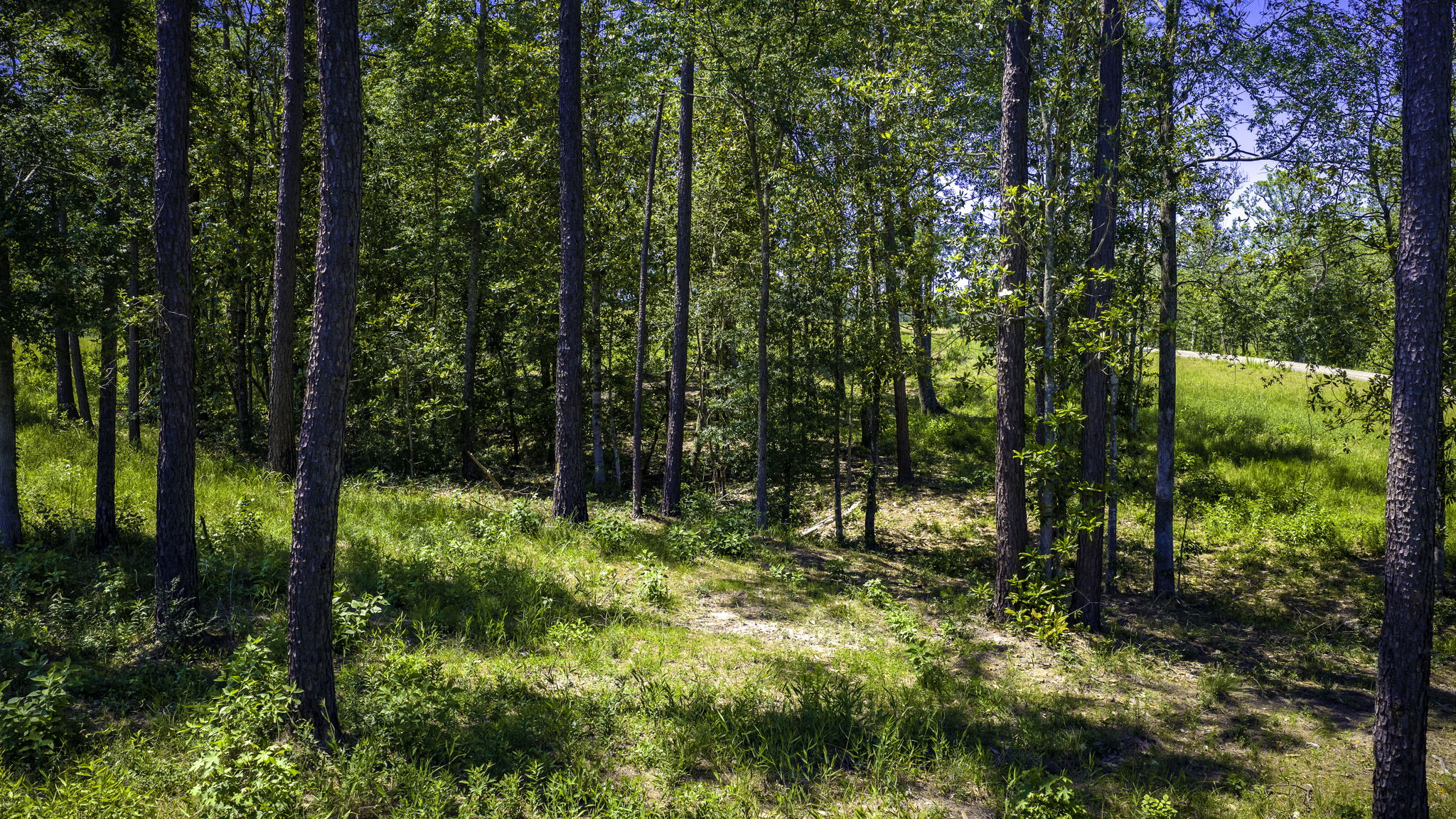  Photo 23