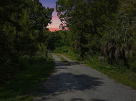  Photo 0