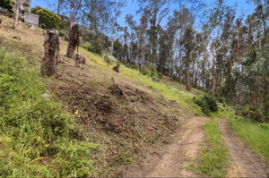 001_F8_0 Ave Portola