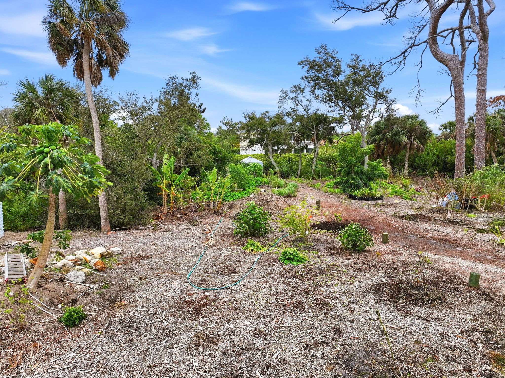 006_F8_AERIAL_0 Dunbar Rd