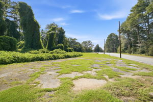 Image-11