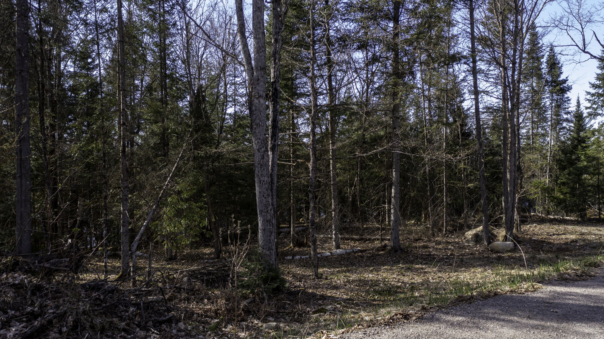 Lot #2