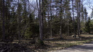 Lot #2