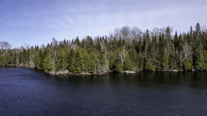 Lot #2