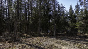 Lot #2