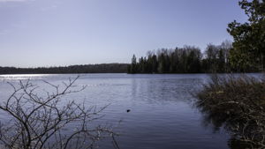 Lot #2
