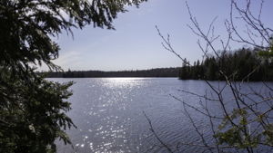Lot #2