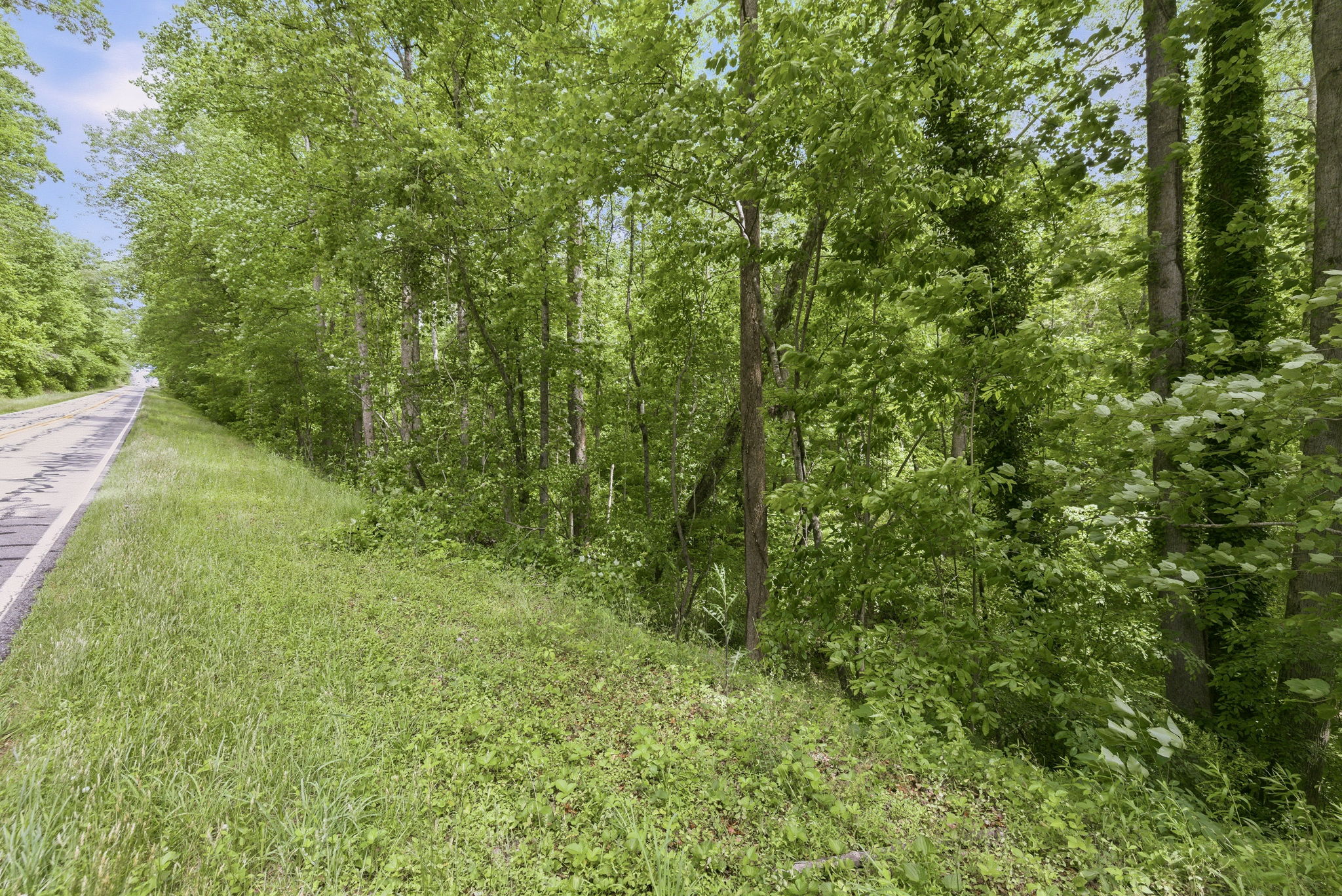 Image-5