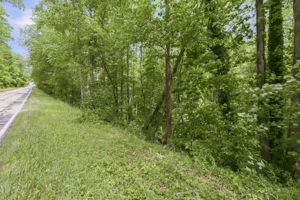 Image-5