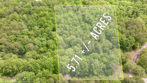Image-6