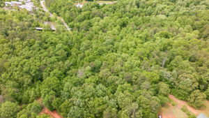 Image-15