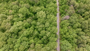 Image-34