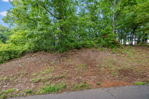 Image-1
