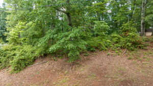 Image-5