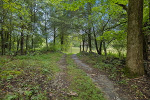  Photo 0