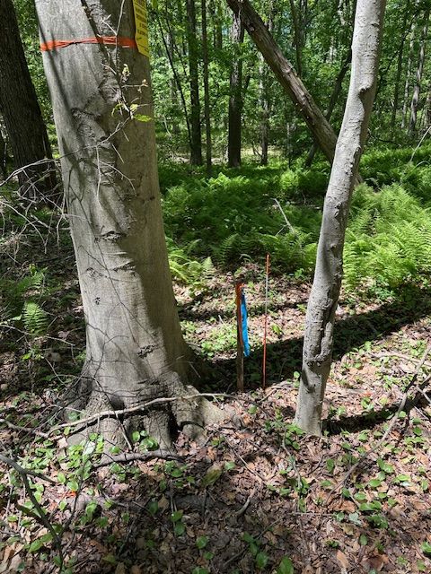 PROPERTY MARKERS ALONG LOT LINE