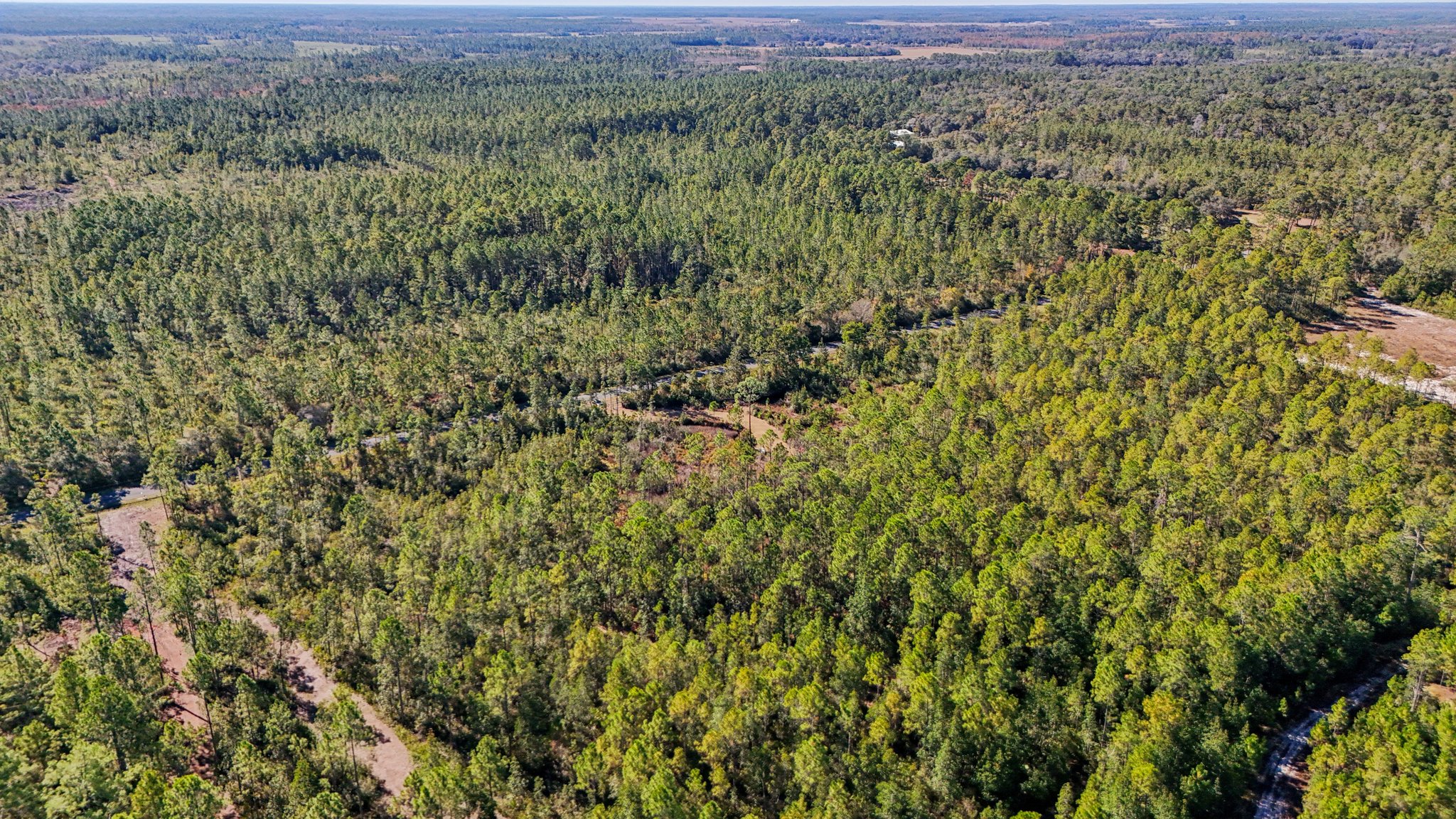 NE 212th Street Rd-S1311-007.jpg