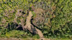 NE 212th Street Rd-S1311-004.jpg