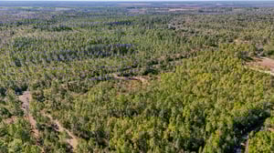 NE 212th Street Rd-S1311-007.jpg