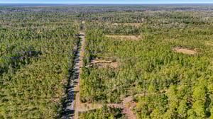 NE 212th Street Rd-S1311-010.jpg