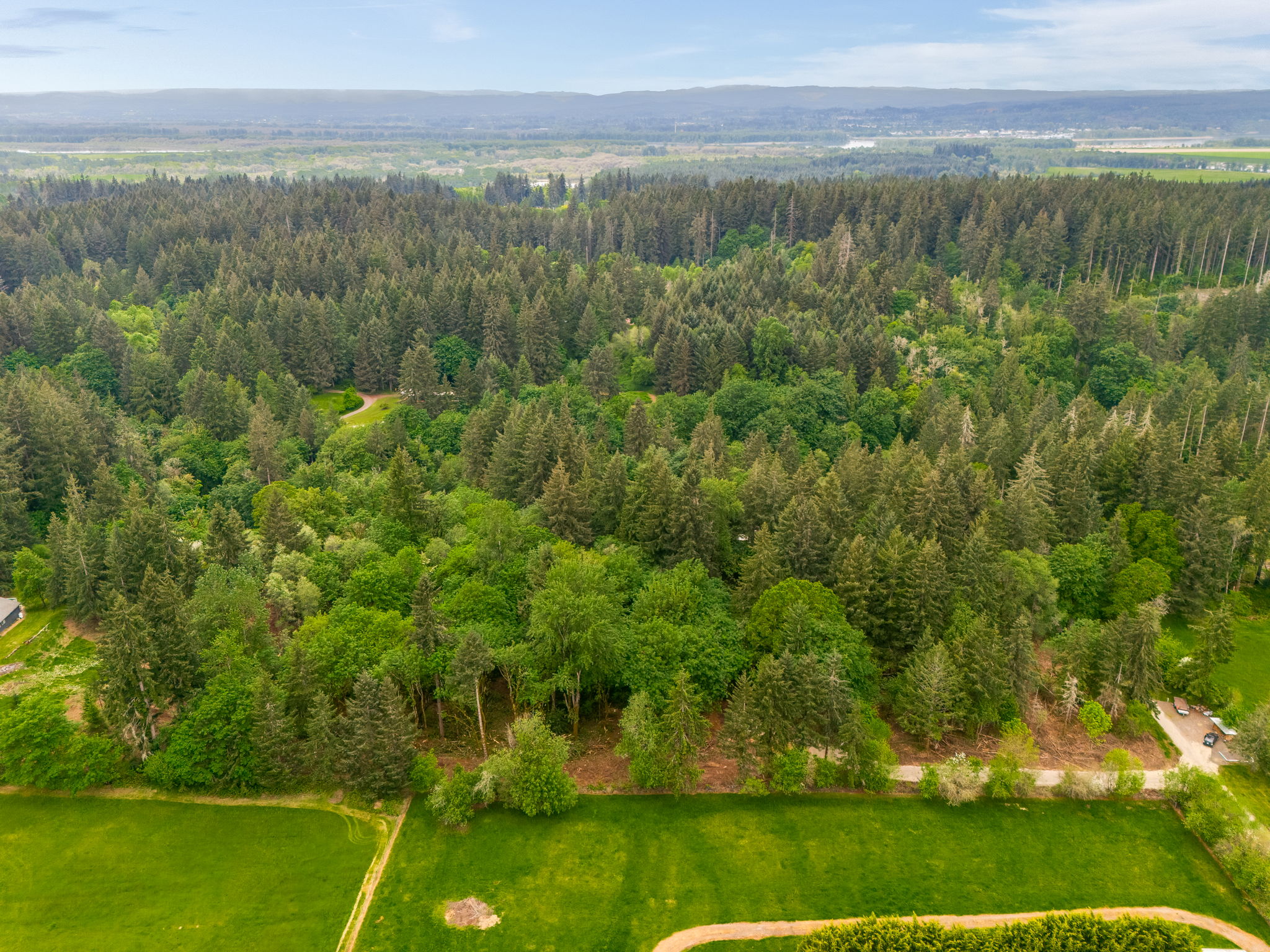 43 and 50