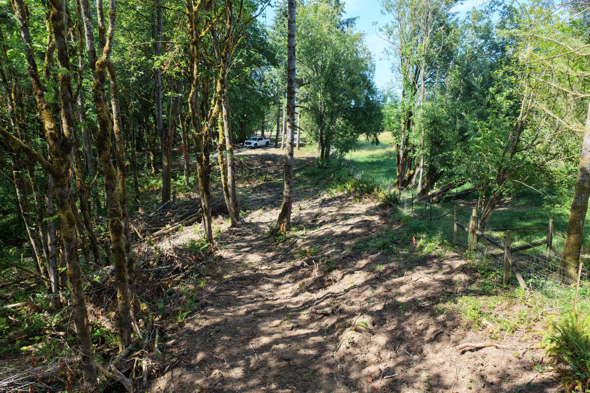  Photo 40