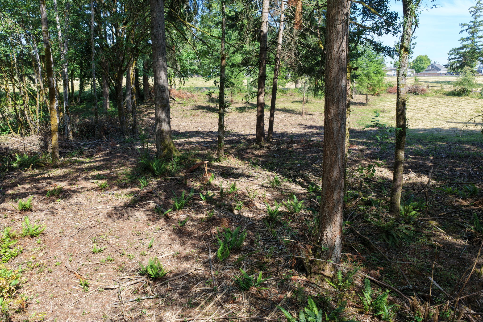  Photo 48