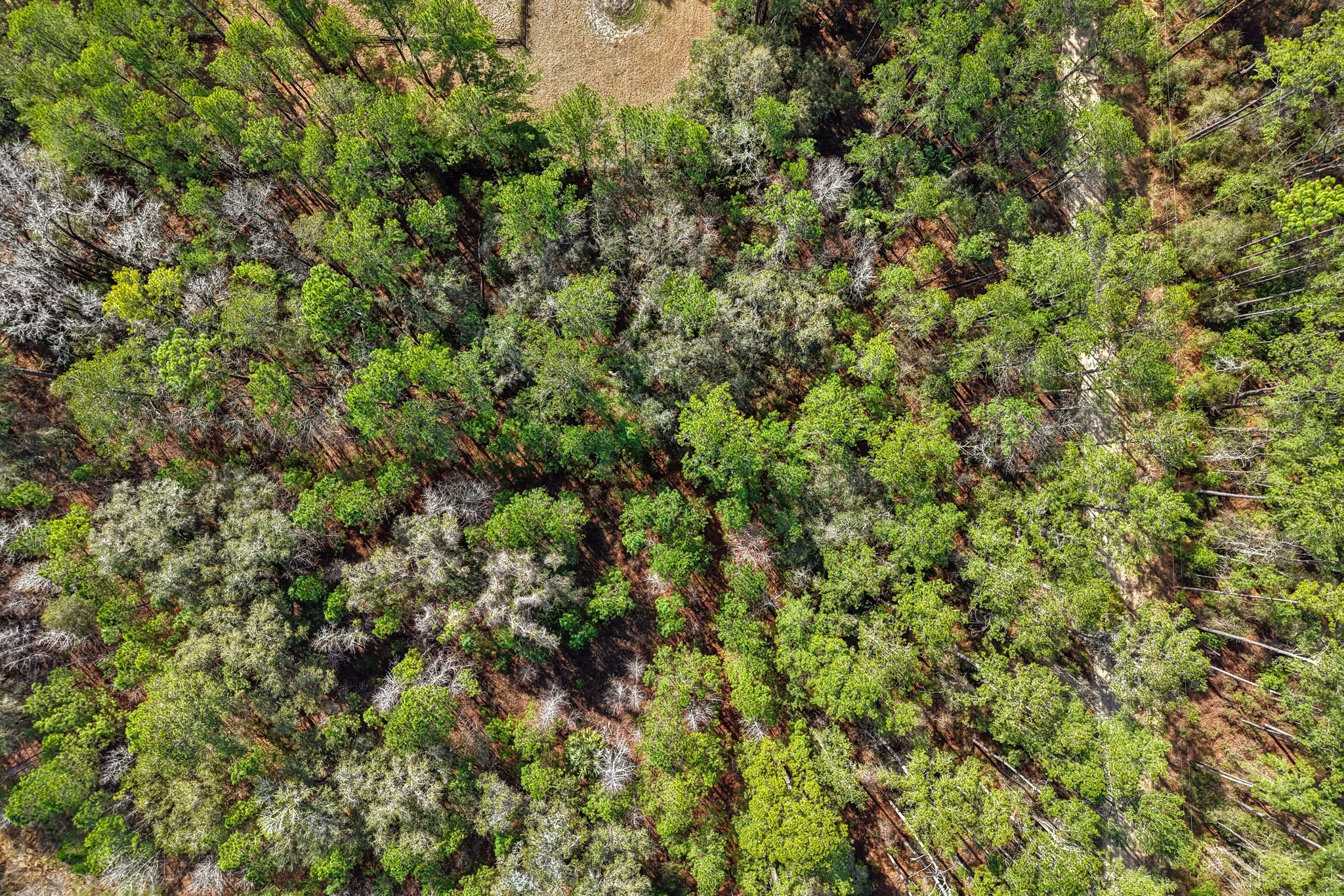 SW 150th Ct-S2002-009.jpg