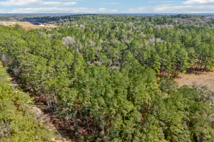 SW 150th Ct-S2002-013.jpg