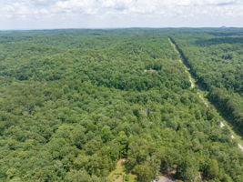 Image-6