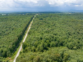 Image-7