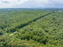 Image-8