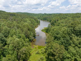 Image-15