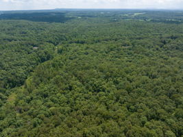 Image-19