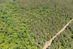  Photo 0