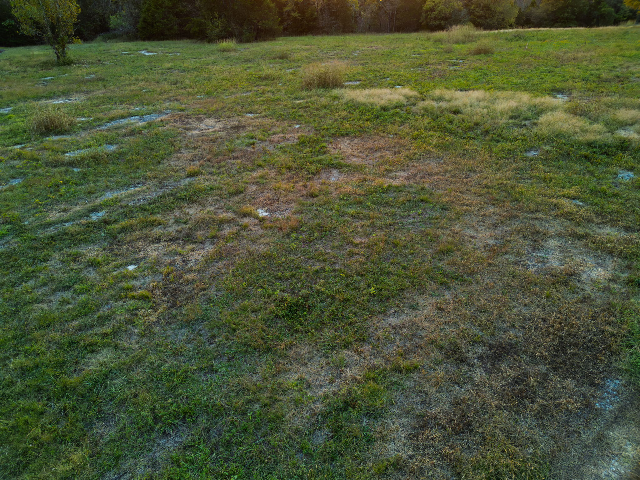  Photo 49