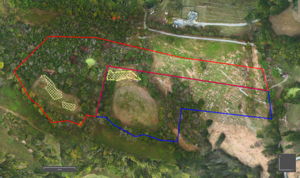  Photo 0