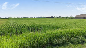  Photo 0