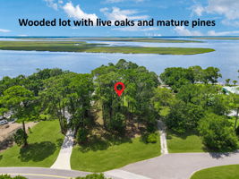 The wooded homesite is framed by mature live oaks and pines, offering natural beauty, shade and privacy.