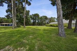 The open, buildable interior offers room to create a custom home with privacy, mature trees and space to breathe.