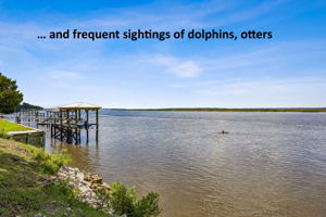 Frequent sightings of dolphins and otters add to the sense of living close to nature.