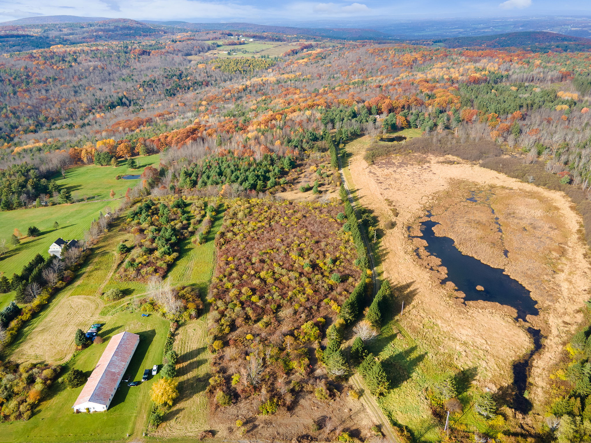 00 High Point Rd, berne ny, NY 12122