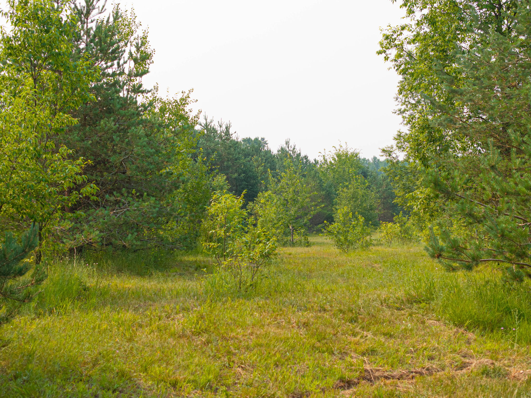  Photo 40
