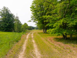  Photo 33