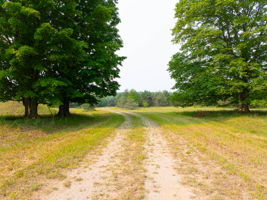 Photo 35