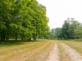  Photo 38