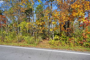  Photo 0