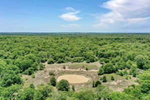 Aerial of Pond