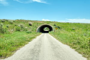 Adina Road Tunnel