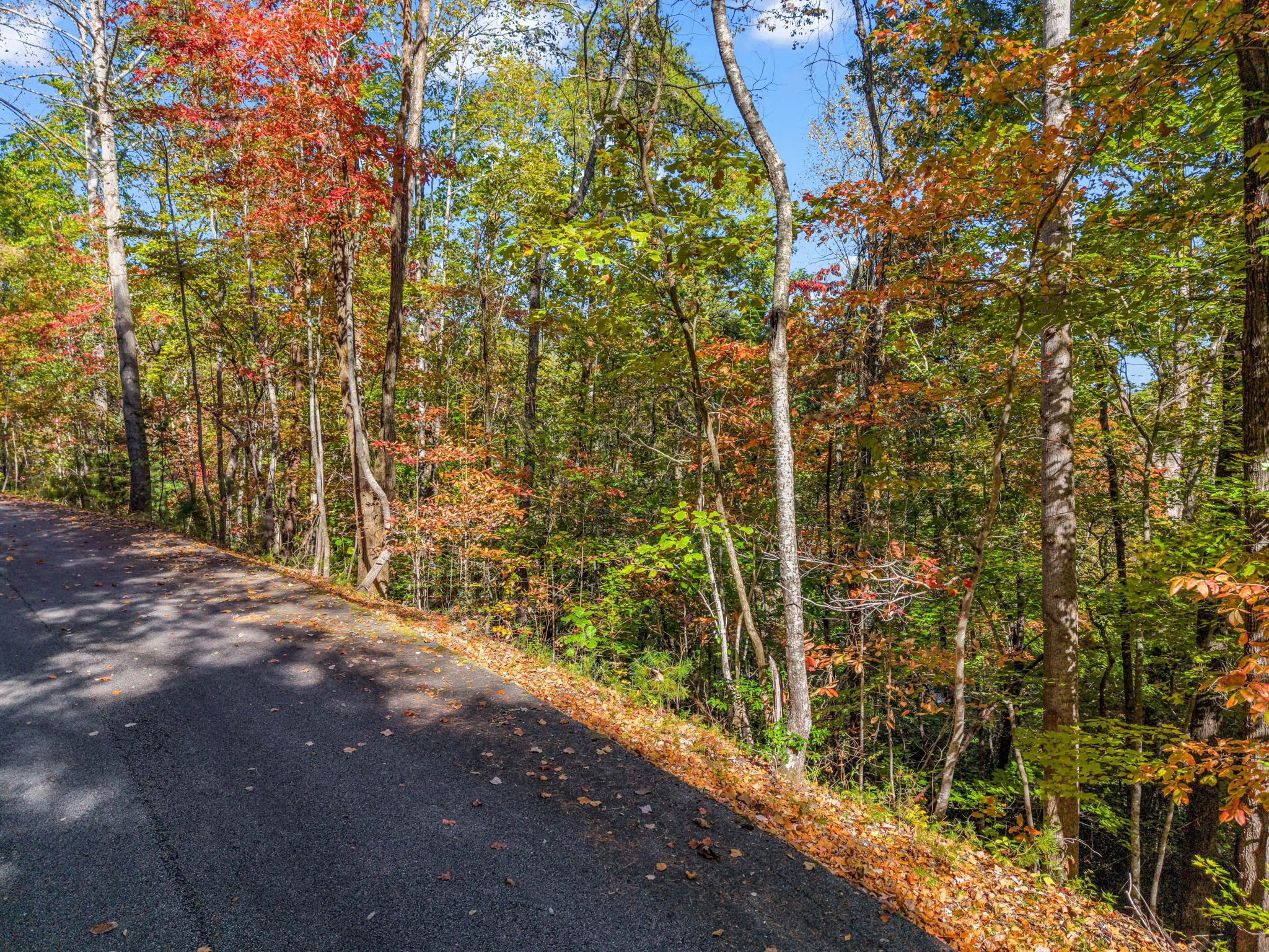 0 Raleigh Dr Lake Lure, NC-12
